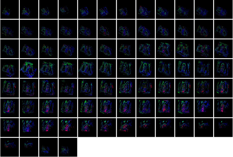 Figure 4—figure supplement 1.