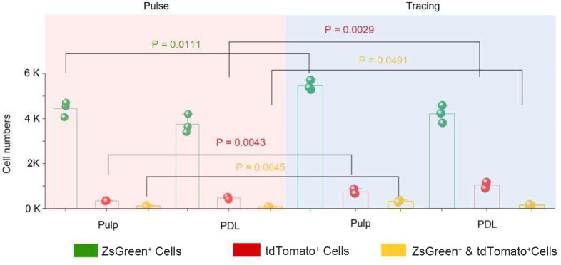 Figure 5—figure supplement 1.