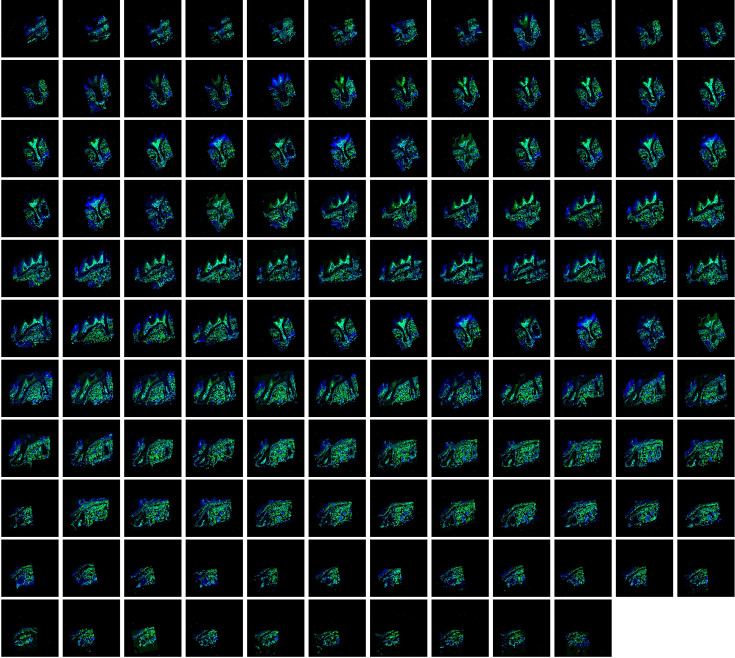 Figure 8—figure supplement 1.