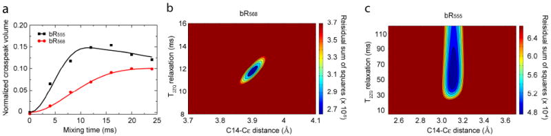 Fig. 10