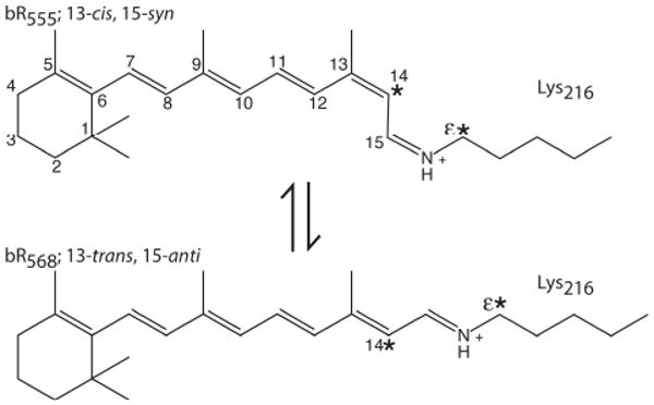 Fig. 9