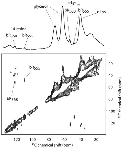 Fig. 11