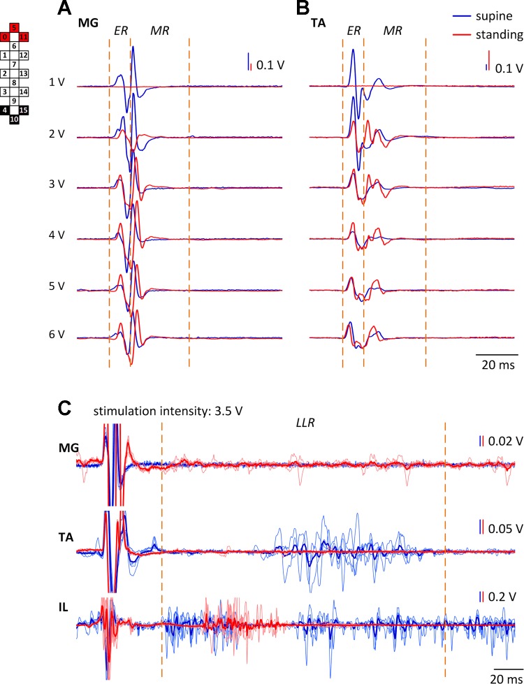 Fig. 7.