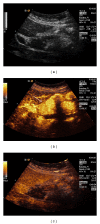 Figure 4