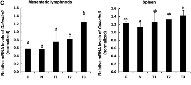 FIG. 3.