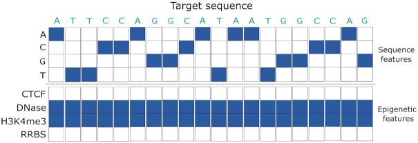 Figure 5.