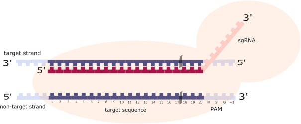 Figure 3.