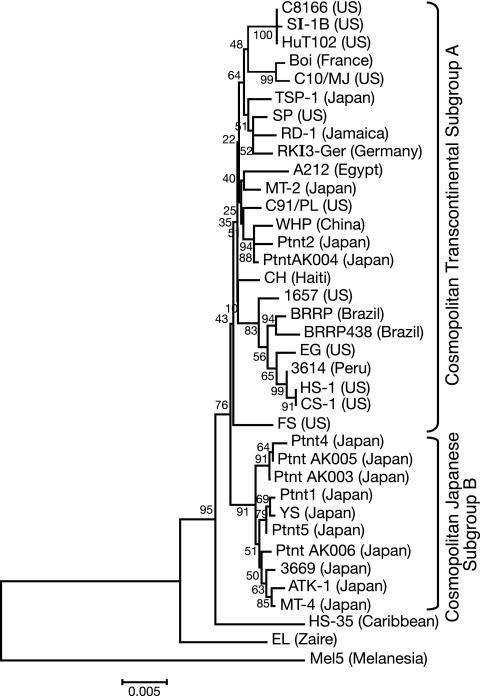 FIG. 1.