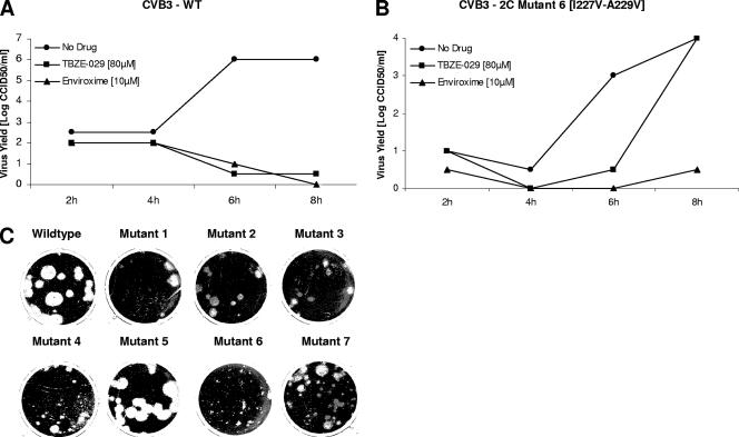 FIG. 6.