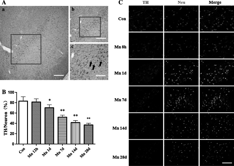 Fig. 2