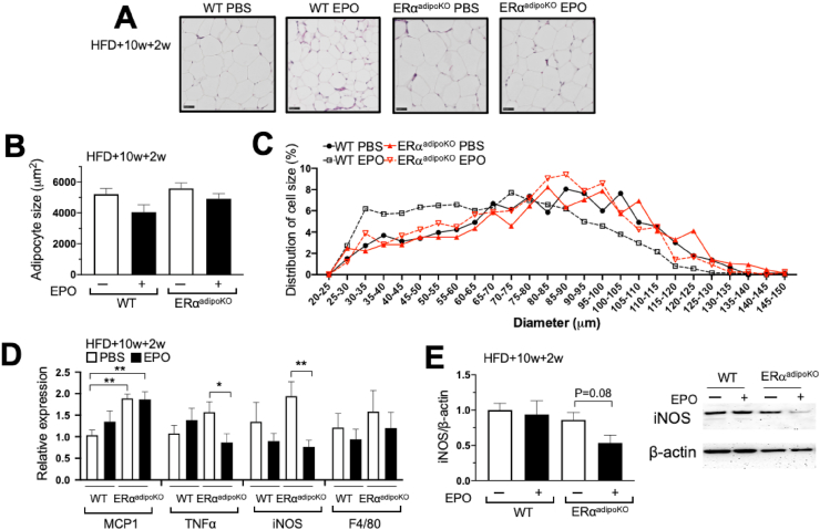 Figure 6