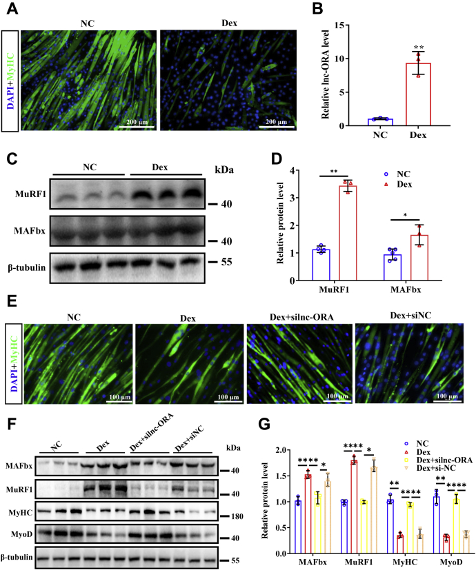 Figure 6