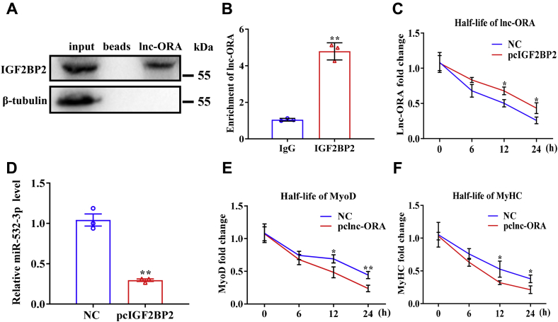 Figure 10