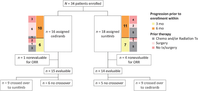 Figure 1. CONSORT diagram of the two-arm randomized trial. Patients were randomly assigned to either the cediranib arm or the sunitinib arm. Crossover was allowed at disease progression.