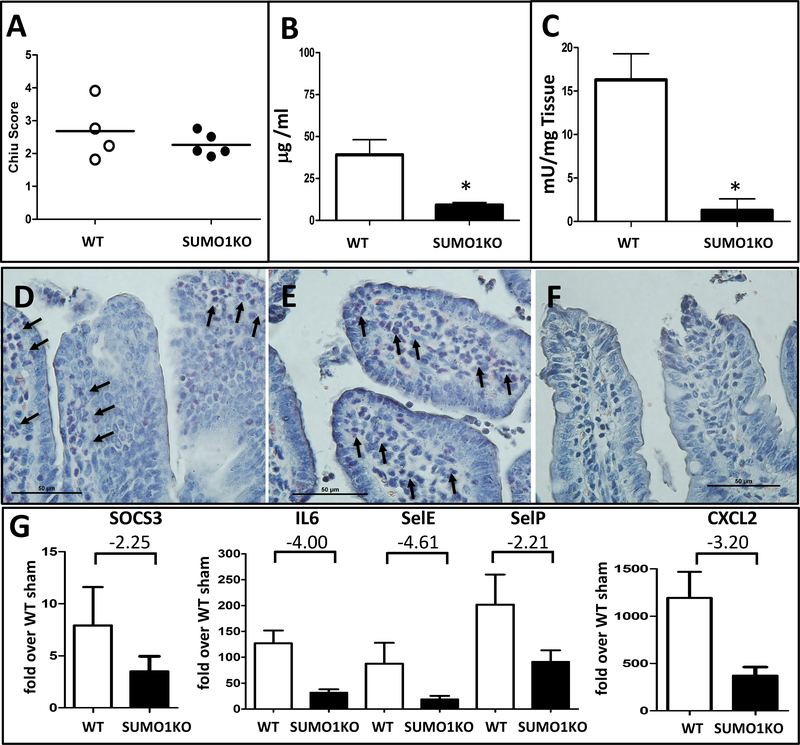 Figure 6: