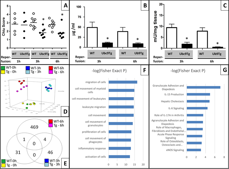 Figure 4: