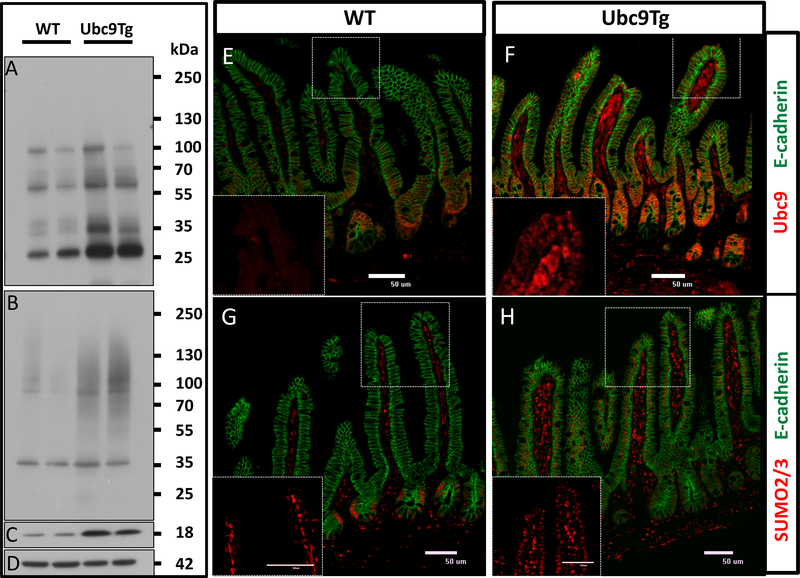 Figure 3: