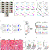 Extended Data Fig. 5 |