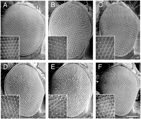 FIG. 10.