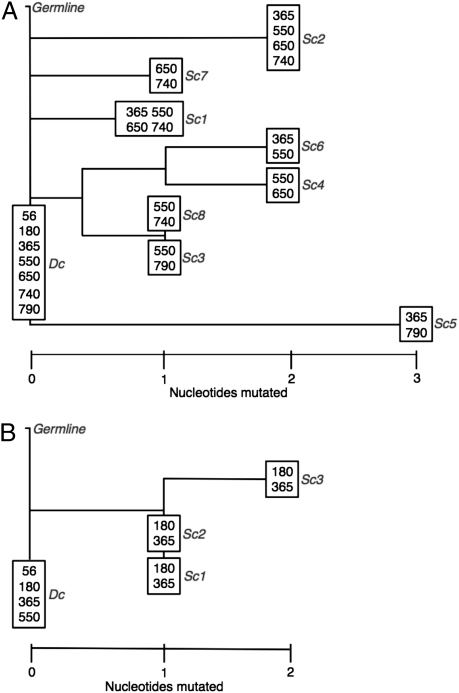 Fig. 2.