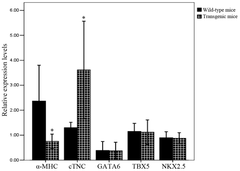 Figure 6