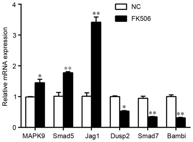 Figure 5.