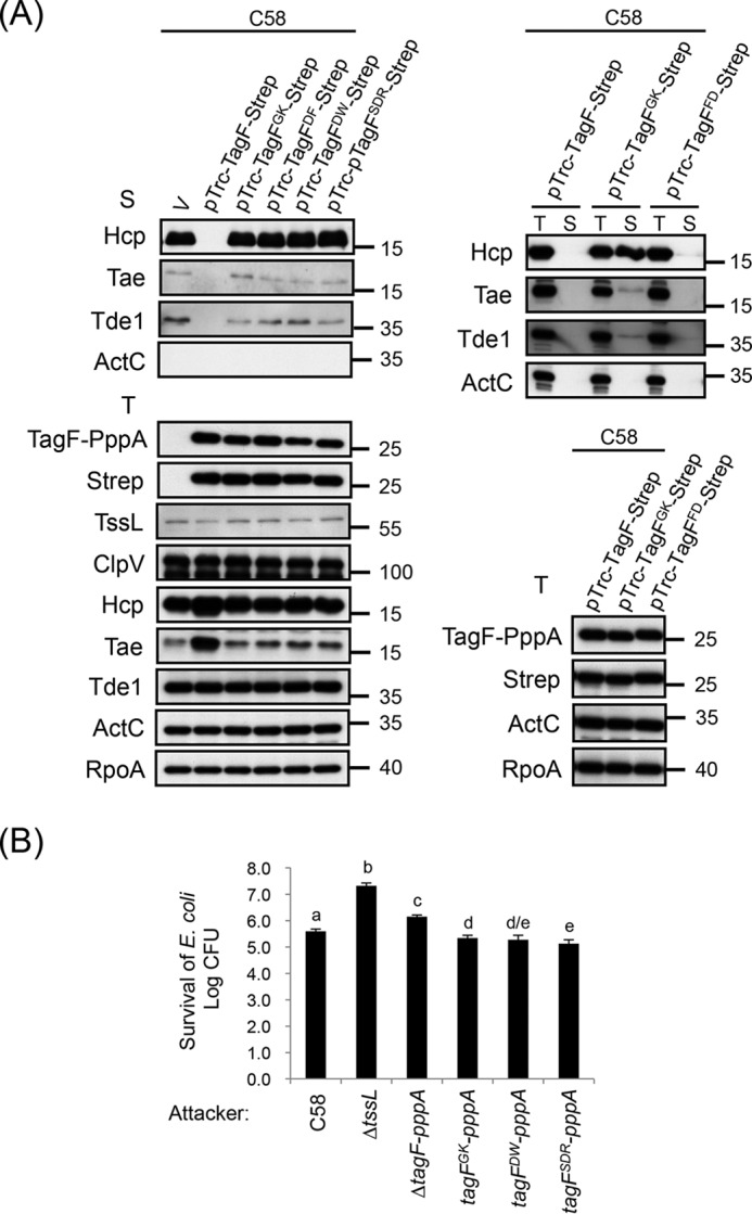 Figure 7.