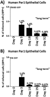 FIG 6