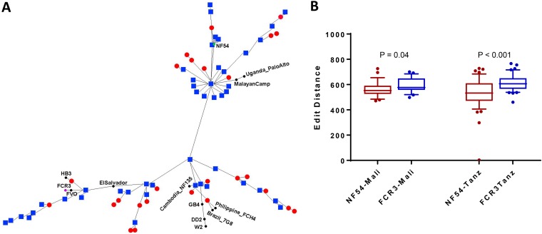 FIG 6