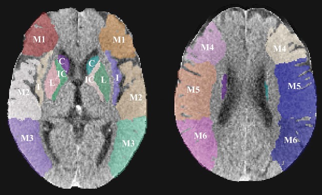 Fig 1.