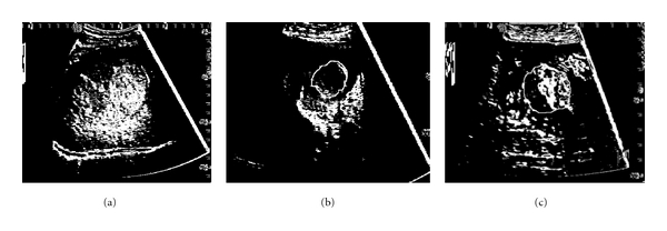 Figure 16