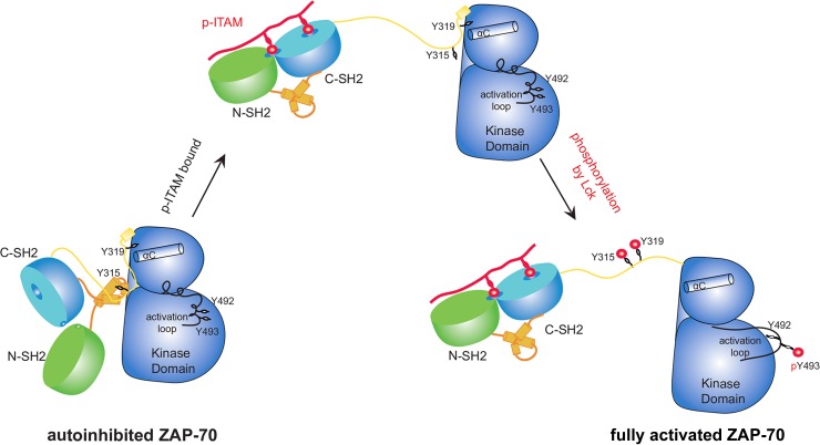 Fig 10