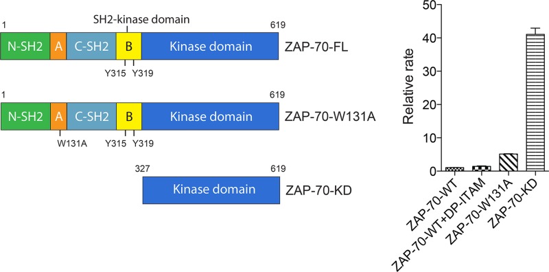 Fig 8