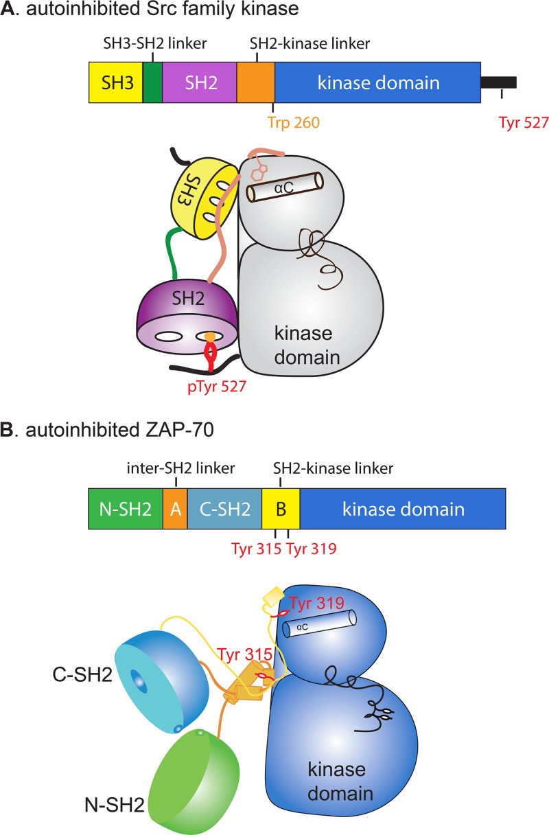 Fig 5