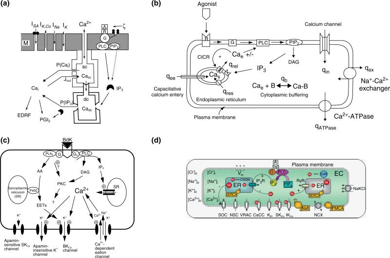 FIGURE 1