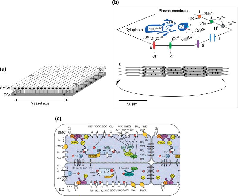 FIGURE 3