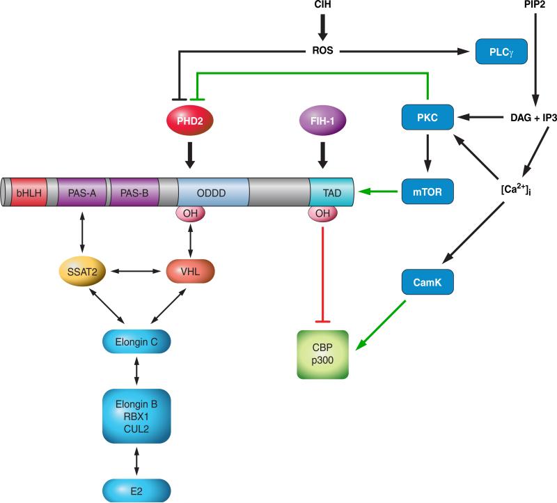 FIGURE 12