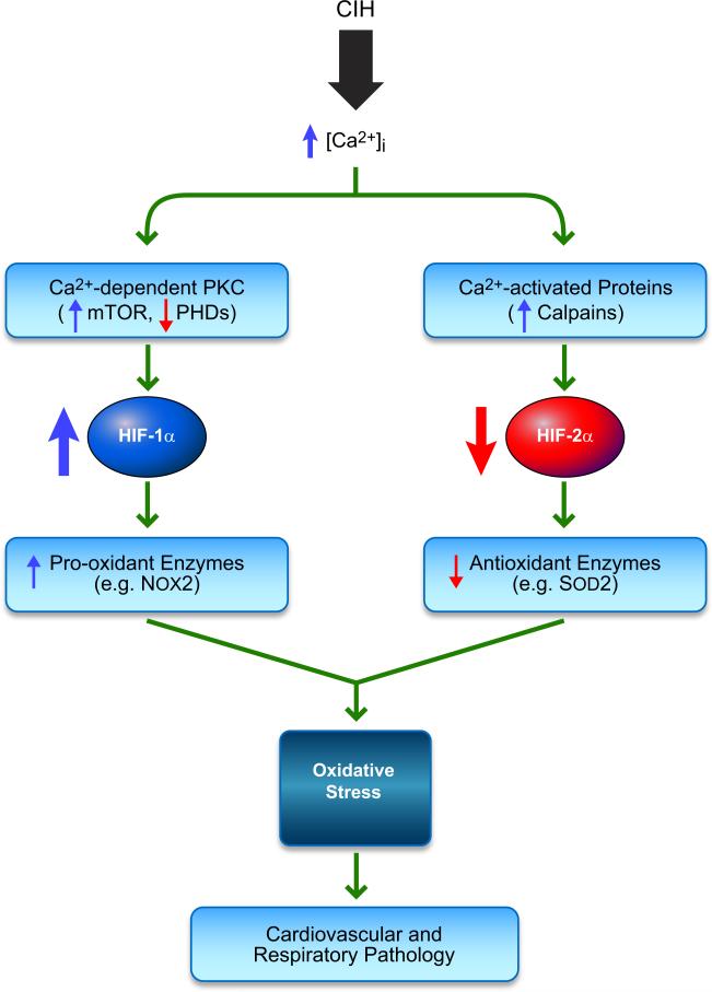 FIGURE 13