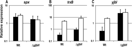 Fig 9