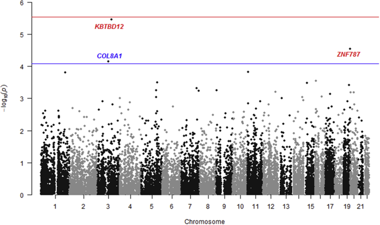 Figure 1