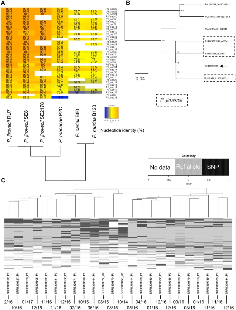 FIG 1