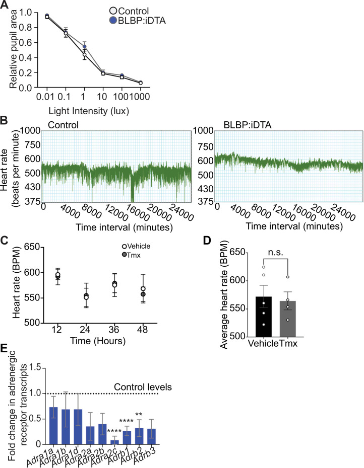 Figure 3—figure supplement 1.