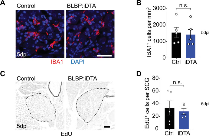 Figure 1—figure supplement 3.