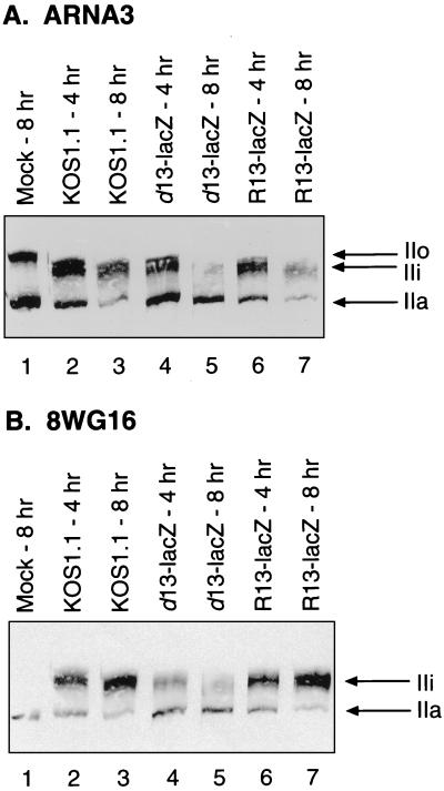 FIG. 7