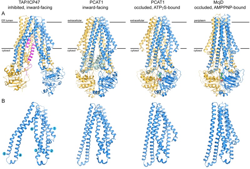 Figure 6.