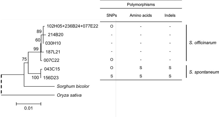 Fig. 2.—