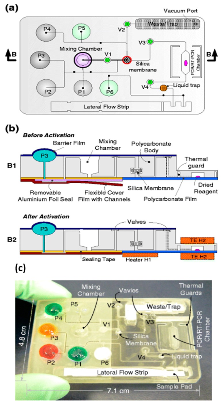 Figure 5