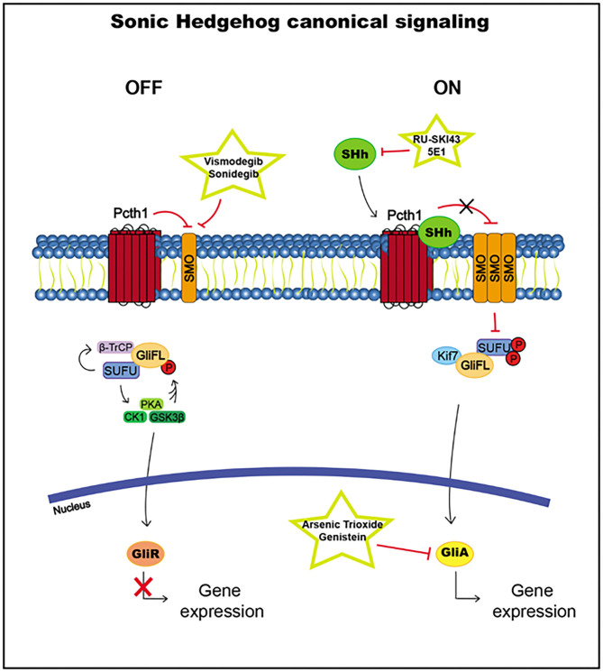 Figure 5