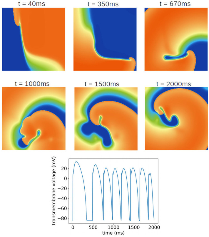 Figure 7