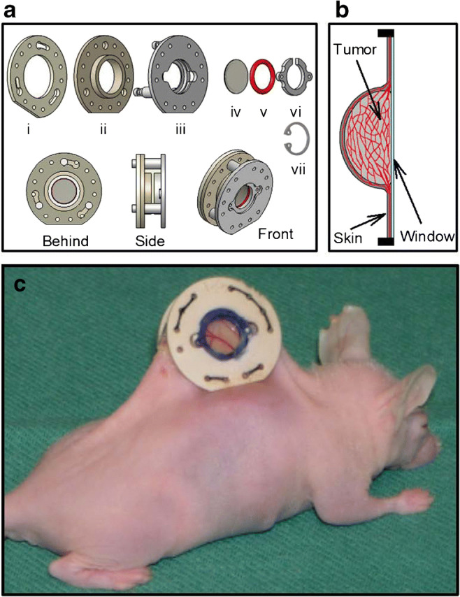 Fig. 1a